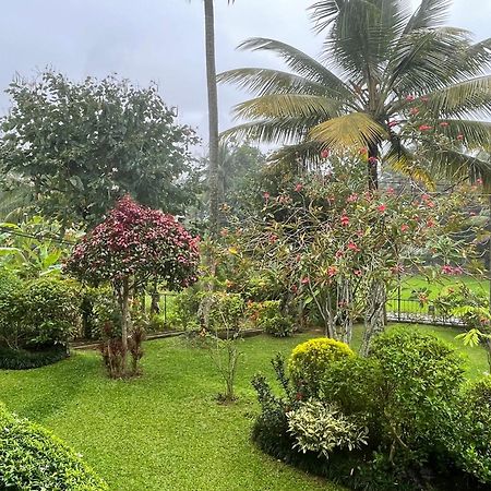 Surveyor'S Residence Bungalow Kandy Dış mekan fotoğraf