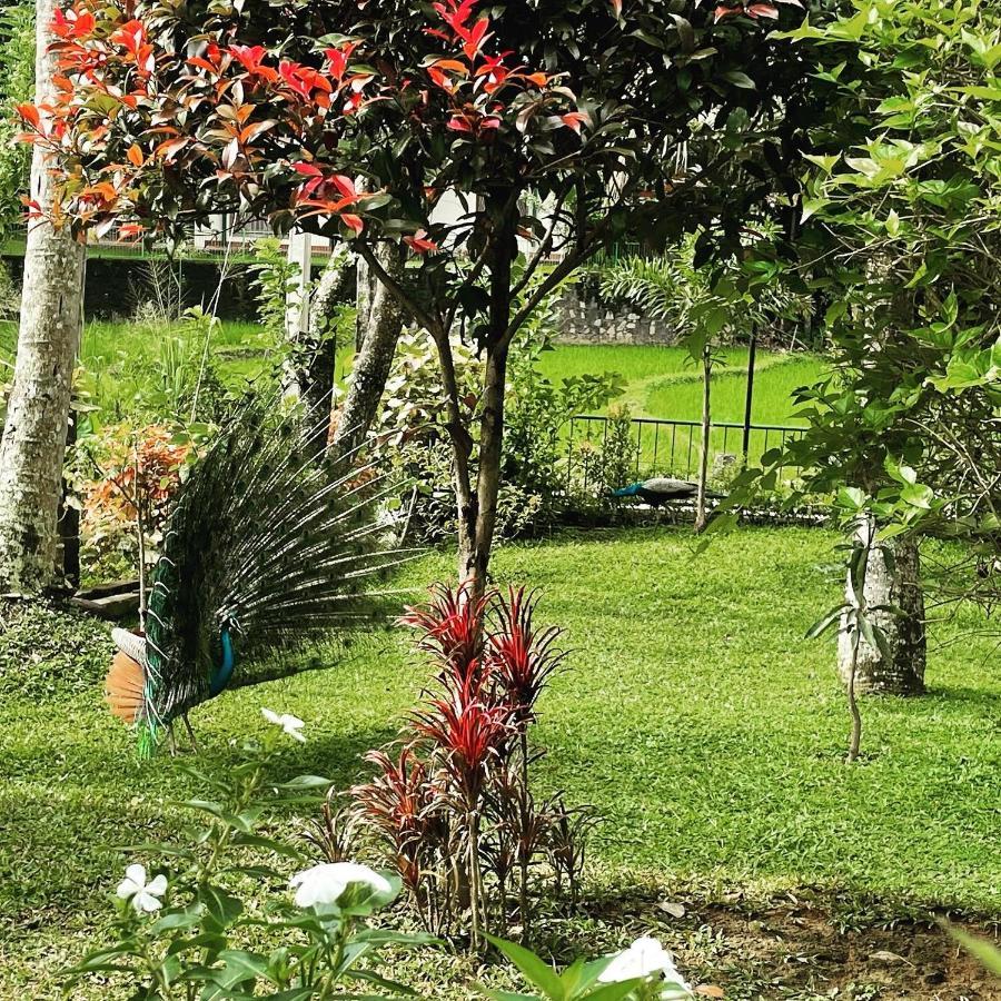 Surveyor'S Residence Bungalow Kandy Dış mekan fotoğraf