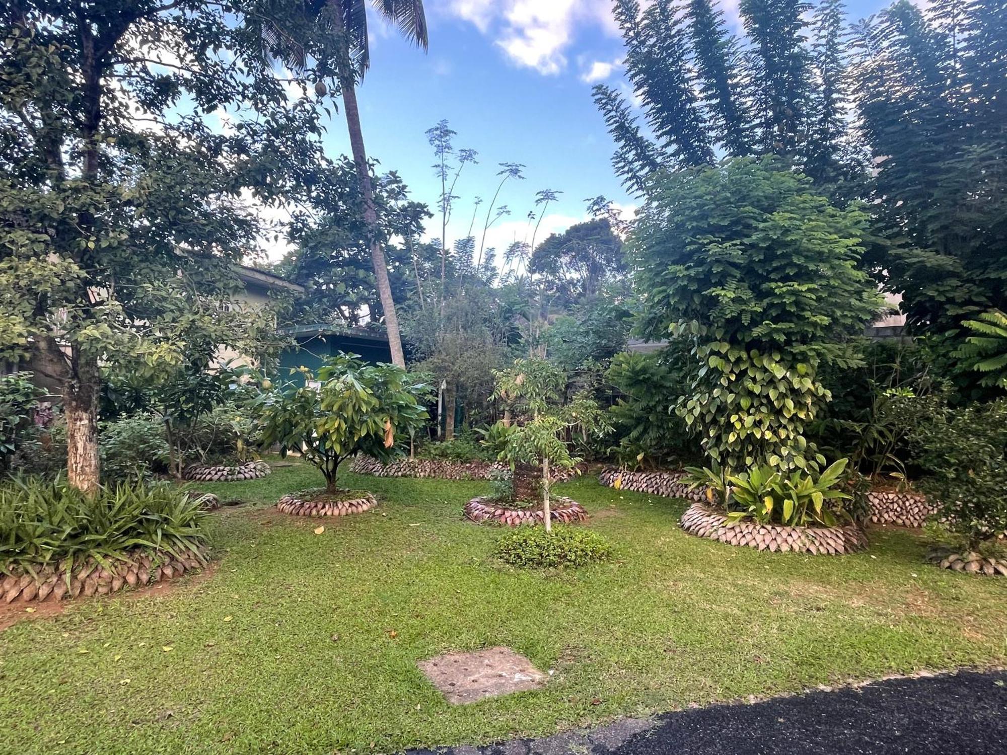 Surveyor'S Residence Bungalow Kandy Dış mekan fotoğraf